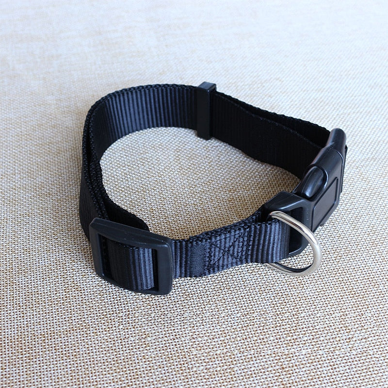 Nylon Dog Collar - Durable and Stylish Accessory for Your Furry Friend - Comfortable Fit for All ...