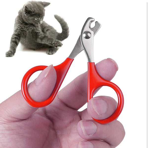 BERRY'S BUYS™ BOUSSAC Cat Nail Scissors - Trim Your Pet's Nails Safely and Painlessly - Professional-grade Grooming at Home - Berry's Buys