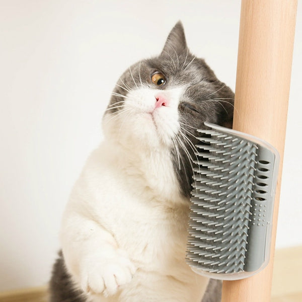 Massage Comb Pet Comb - The Ultimate Grooming Tool for Your Feline Friend - Keep Your Cat's Coat ...