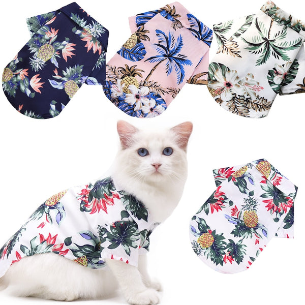 Summer Cats Cool Shirts - Dress Your Pet in Style and Comfort This Summer - Keep Your Furry Frien...