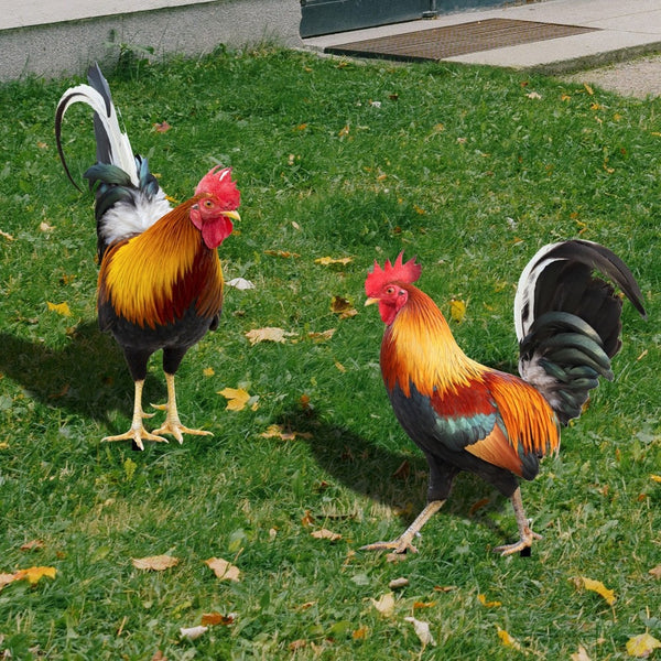 BERRY'S BUYS™ Garden Rooster Statue - Add a Whimsical Touch to Your Outdoor Decor - Durable and Weatherproof - Berry's Buys