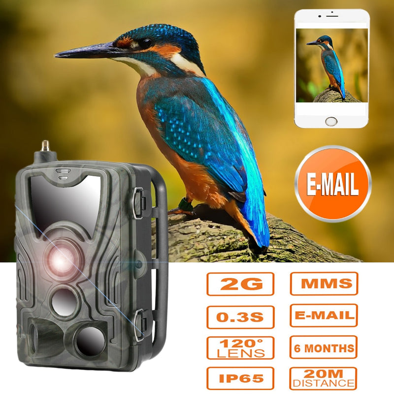 Suntekcam 2G 20MP Hunting Trail Camera - Capture Wildlife in Crystal-Clear Detail - Upgrade Your ...