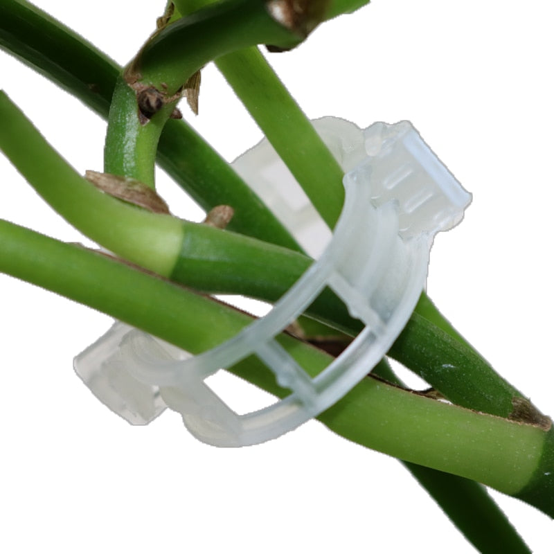 BERRY'S BUYS™ Greenhouse Plant Fixing Clips - Secure Your Garden's Vines and Branches - Keep Your Plants Thriving - Berry's Buys