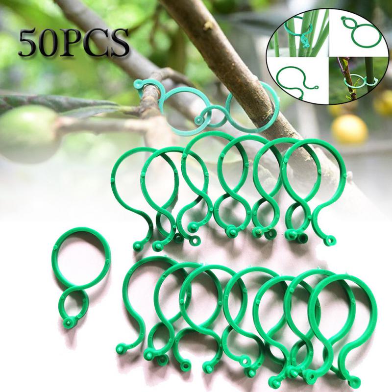 BERRY'S BUYS™ Garden Plant Buckle Hook 50Pcs Vine Strapping Clips Plant Bundled Ring Holder Plastic Vine Connects Tomato Plant Stand Tools - Berry's Buys
