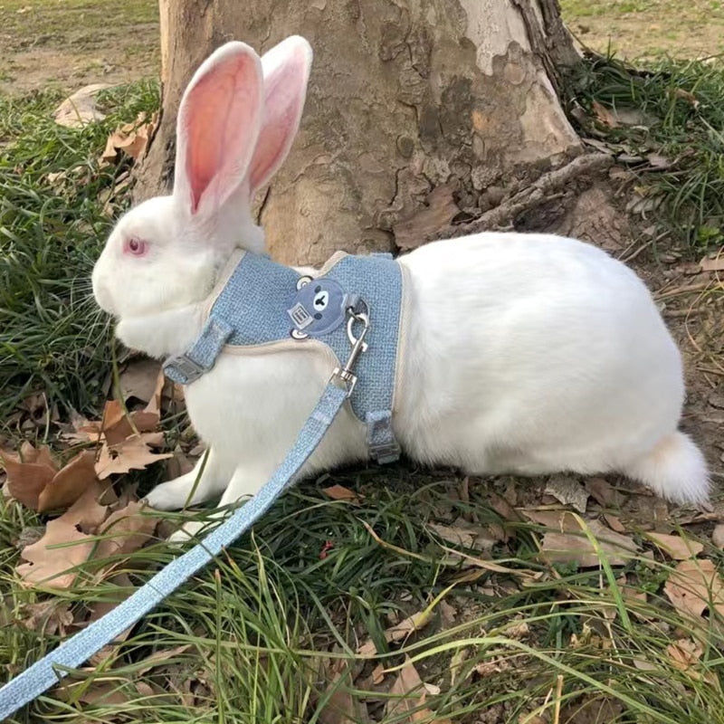 Rabbit Harness and Leash Set - Explore the Outdoors with Your Furry Friend - Ultimate Comfort and...