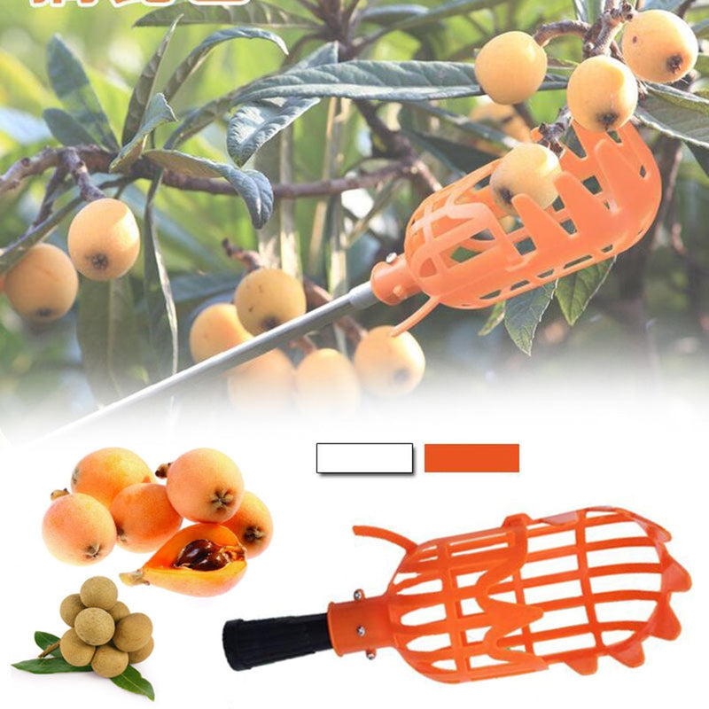 BERRY'S BUYS™ Garden Basket Fruit Picker Head - Effortlessly Collect High-Altitude Fruit - Perfect Tool for Avid Gardeners - Berry's Buys