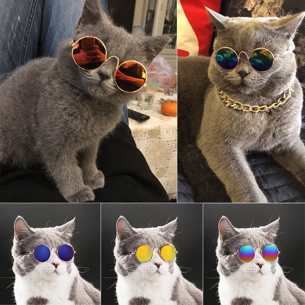 BERRY'S BUYS™ Cat Sunglasses - Protect Your Feline Friend in Style - Add a Touch of Glam to Your Cat's Look! - Berry's Buys