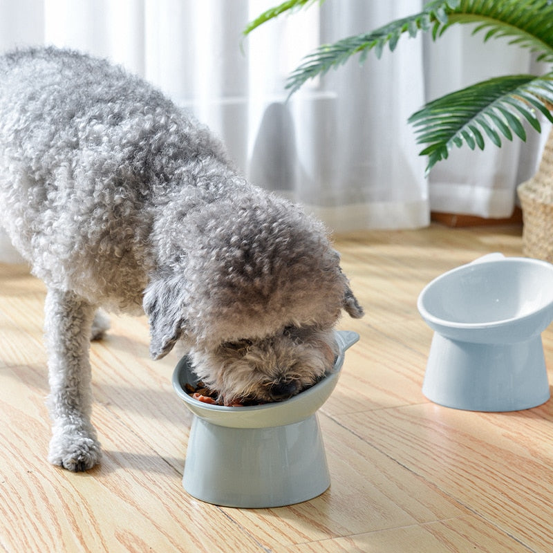 Pet Cat Dog Bowl - Say Goodbye to Messy Mealtime with Our Anti-Overturning 45° Neck Protector Hig...