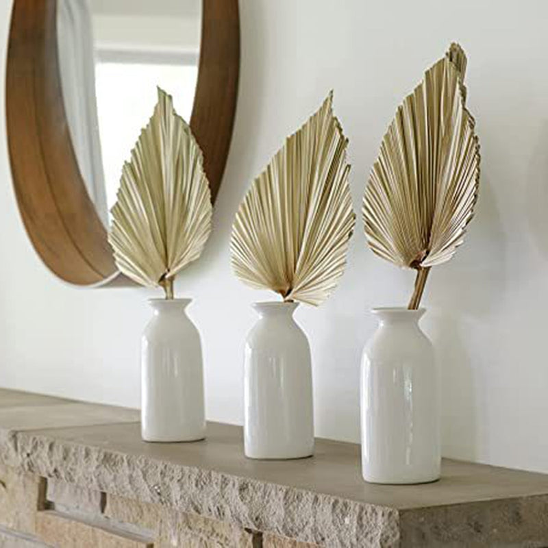Natural Cattail Fan Leaf Dried Flower Palm Leaf - Bringing Nature's Elegance to Your Home Decor -...