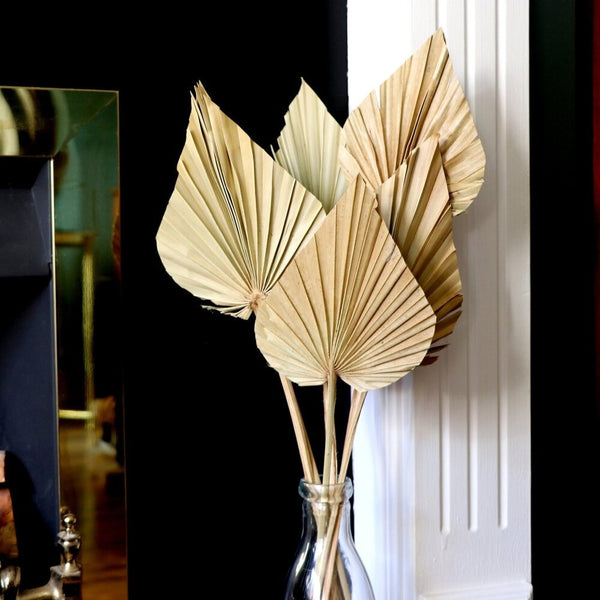 Natural Cattail Fan Leaf Dried Flower Palm Leaf - Bringing Nature's Elegance to Your Home Decor -...