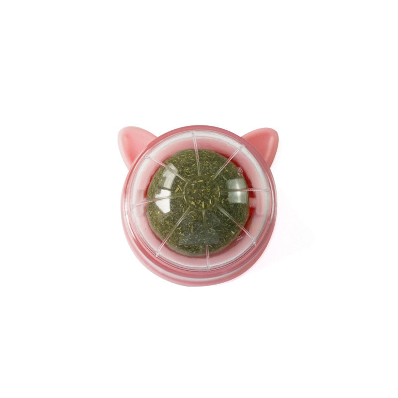 BERRY'S BUYS™ Cat Wall Stick-on Ball Toy - Endless Fun and Health Benefits for Your Feline Friend - Berry's Buys